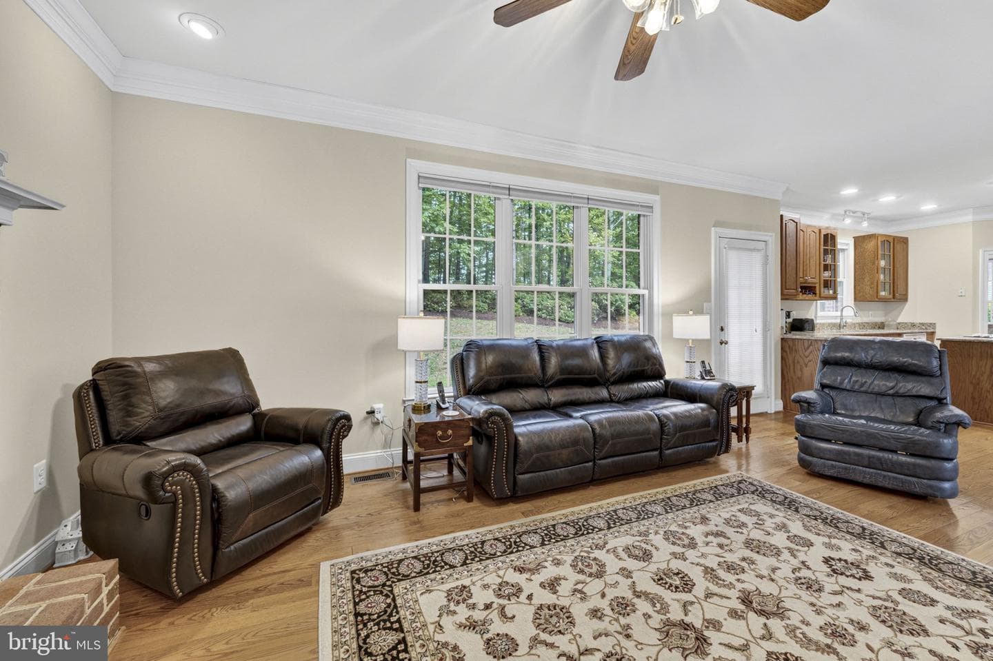 11186 Pimlico Circle photo 19