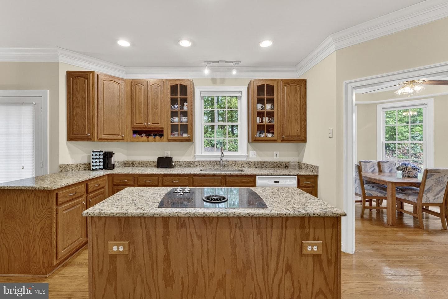 11186 Pimlico Circle photo 29
