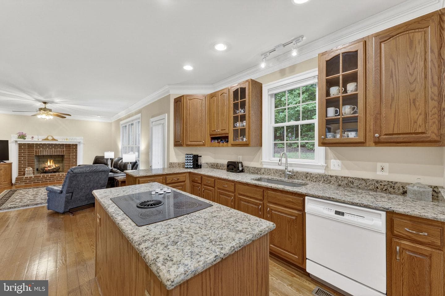 11186 Pimlico Circle photo 34