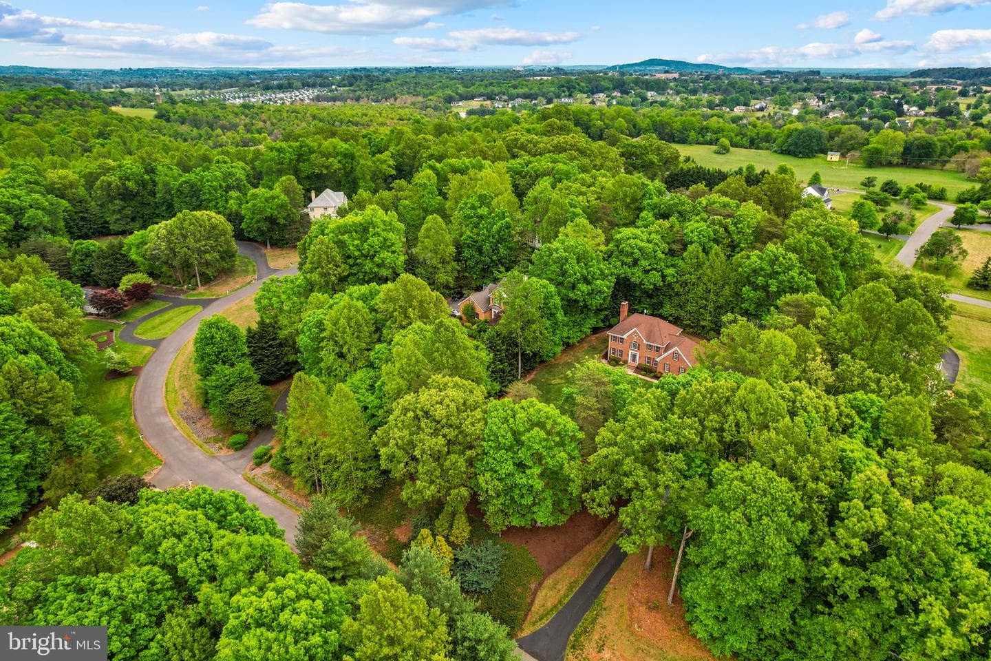11186 Pimlico Circle photo 4
