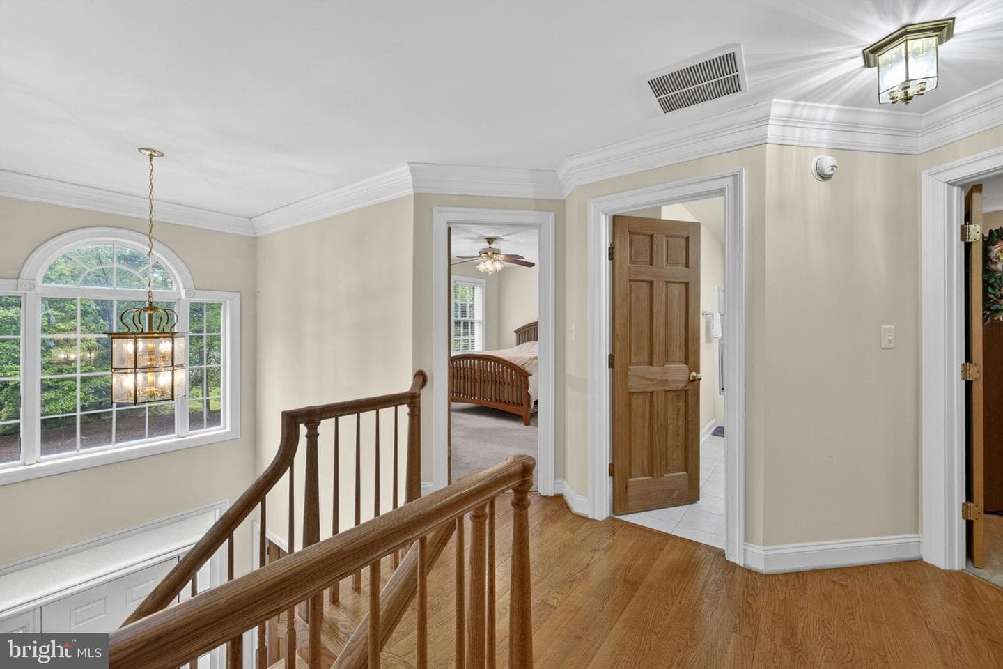 11186 Pimlico Circle photo 49