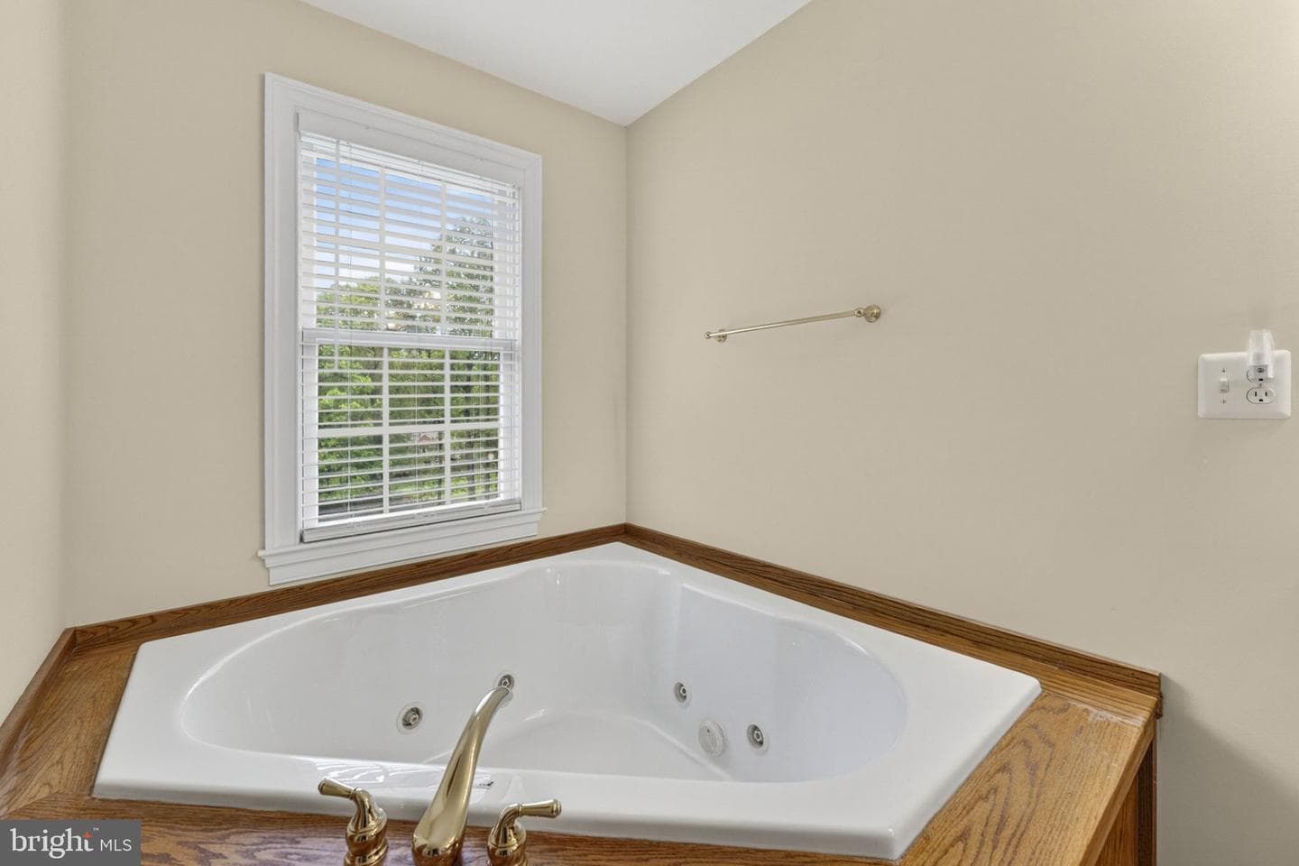 11186 Pimlico Circle photo 61