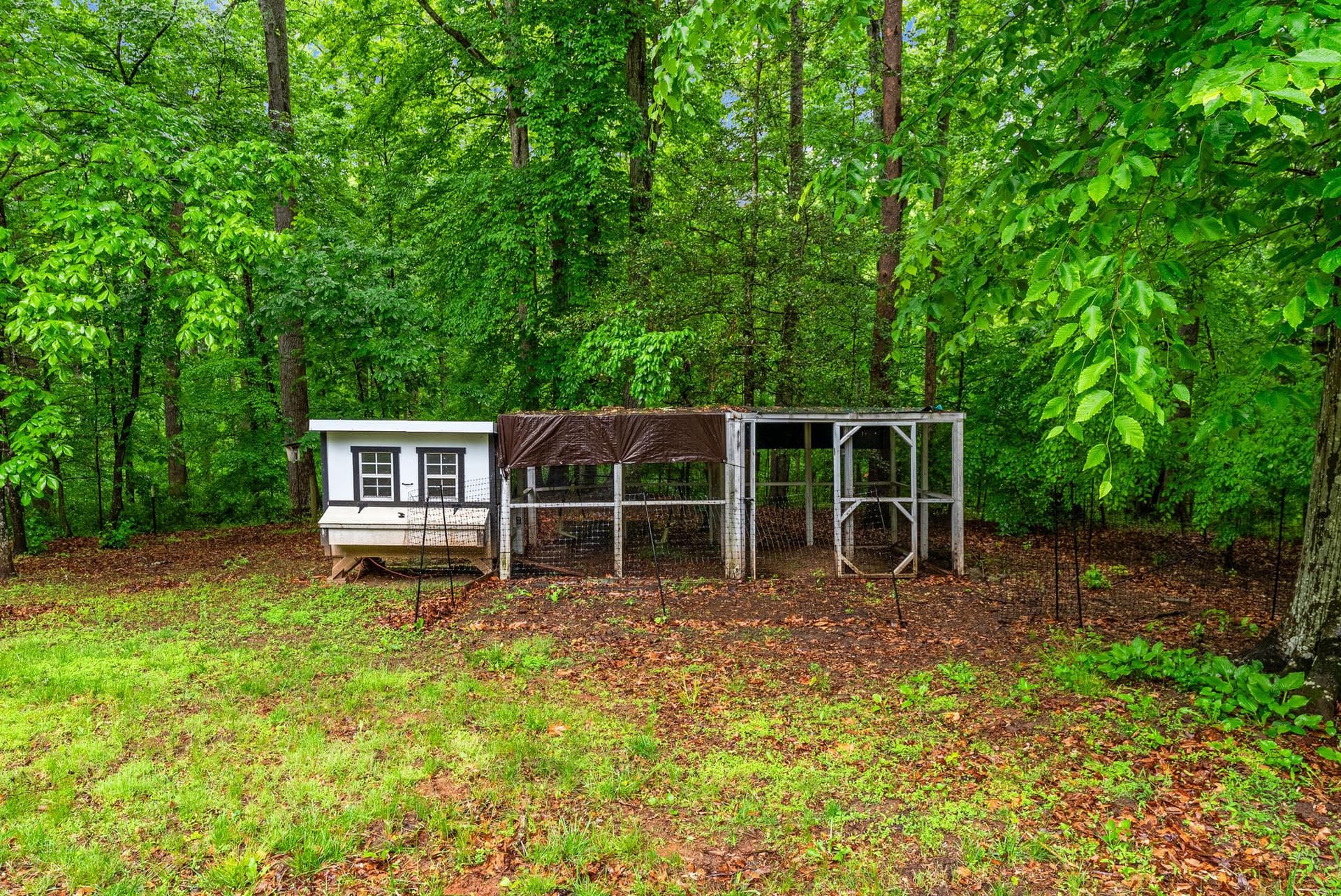 15160 Quail Ridge Drive photo 74