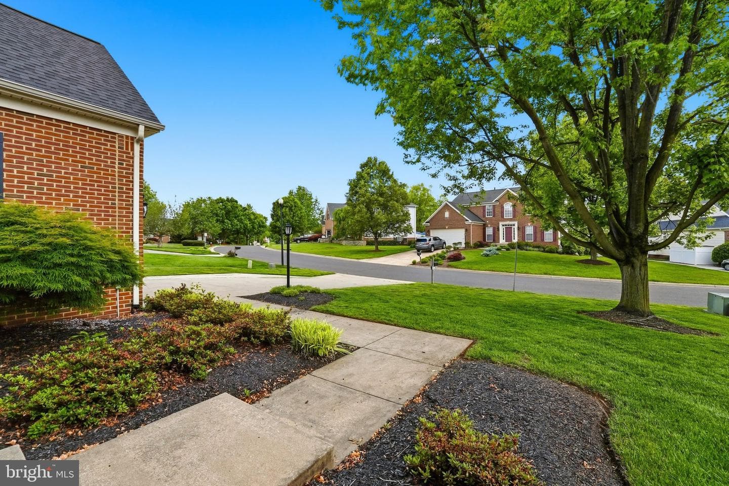 2020 Golf Drive photo 7