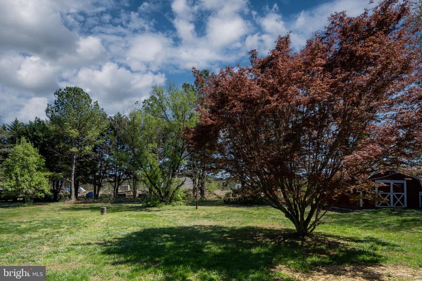 18493 Colonial Drive photo 55