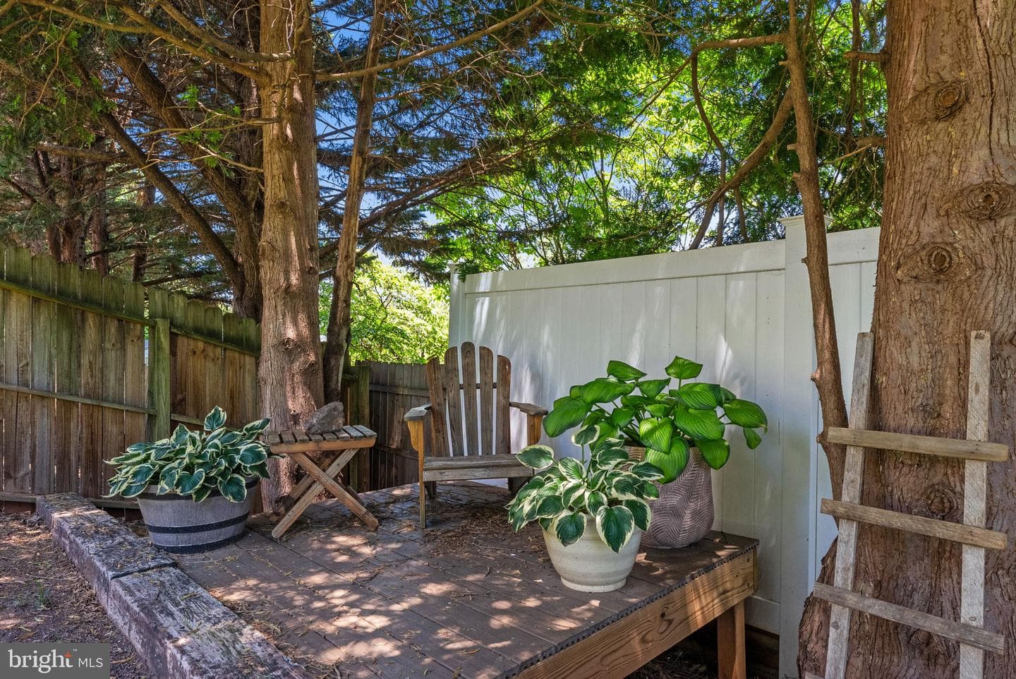 104 King Edward Court photo 61