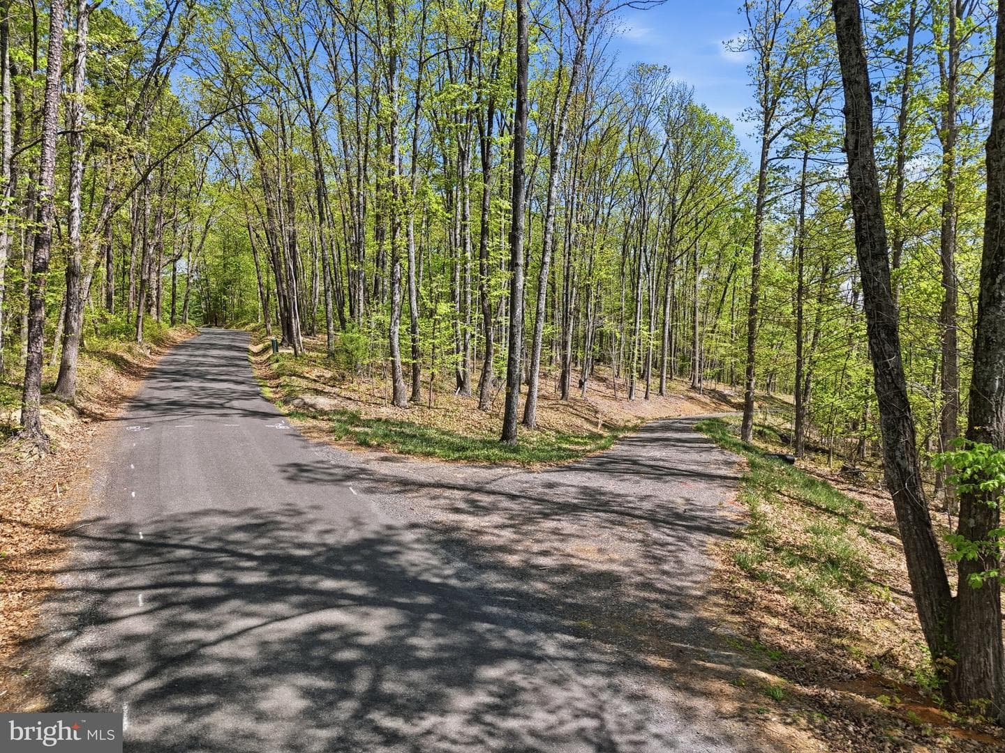 Lot 2 Obannons Mill Road photo 48