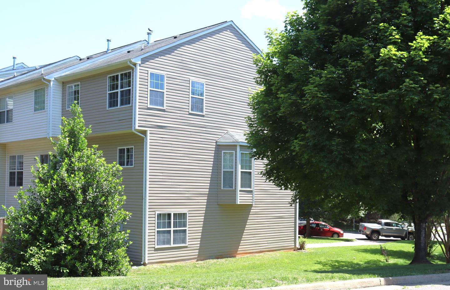 936 Persimmon photo 3