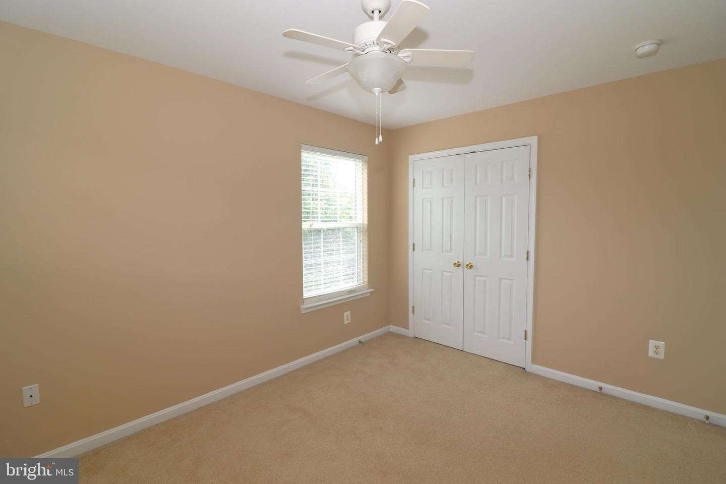 936 Persimmon photo 37