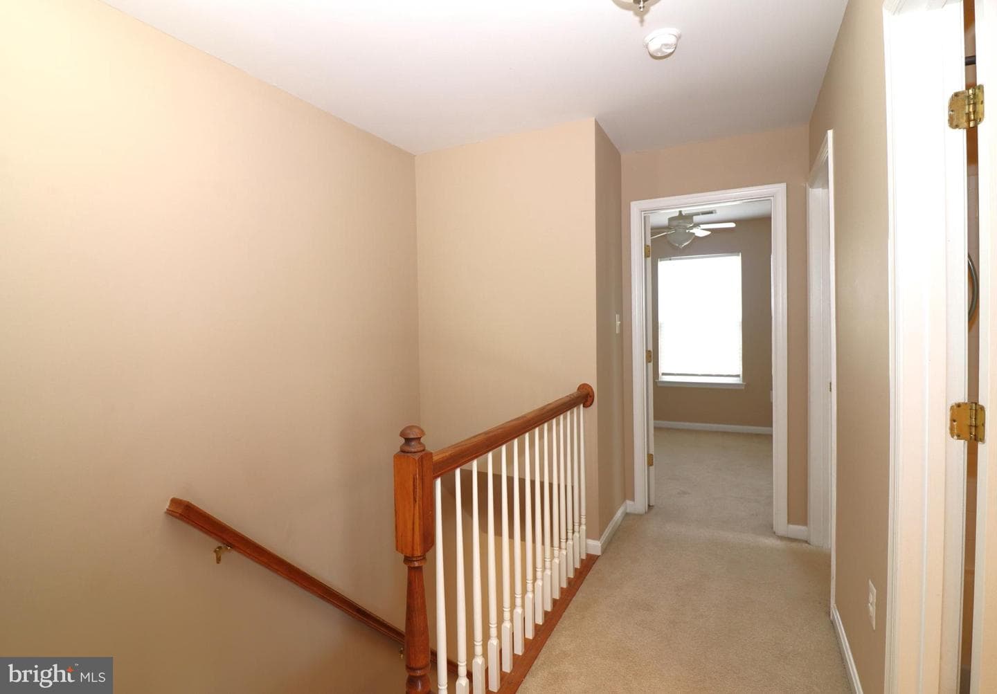 936 Persimmon photo 40