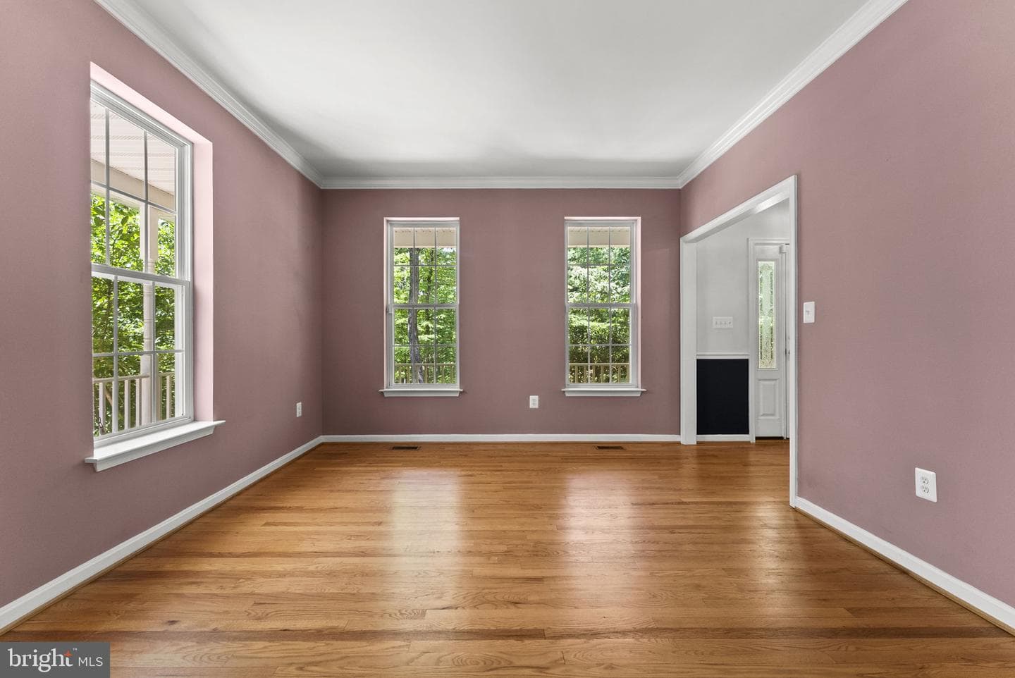 10275 Mountain Run Lake Road photo 22