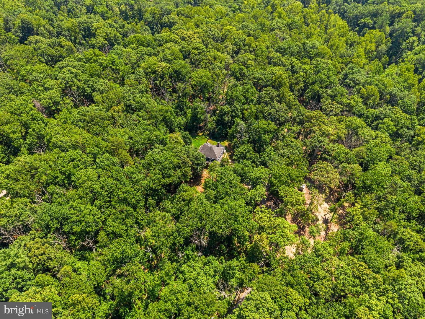 10275 Mountain Run Lake Road photo 5