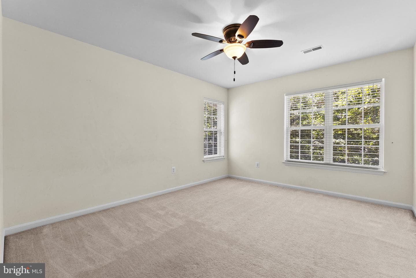 10275 Mountain Run Lake Road photo 58