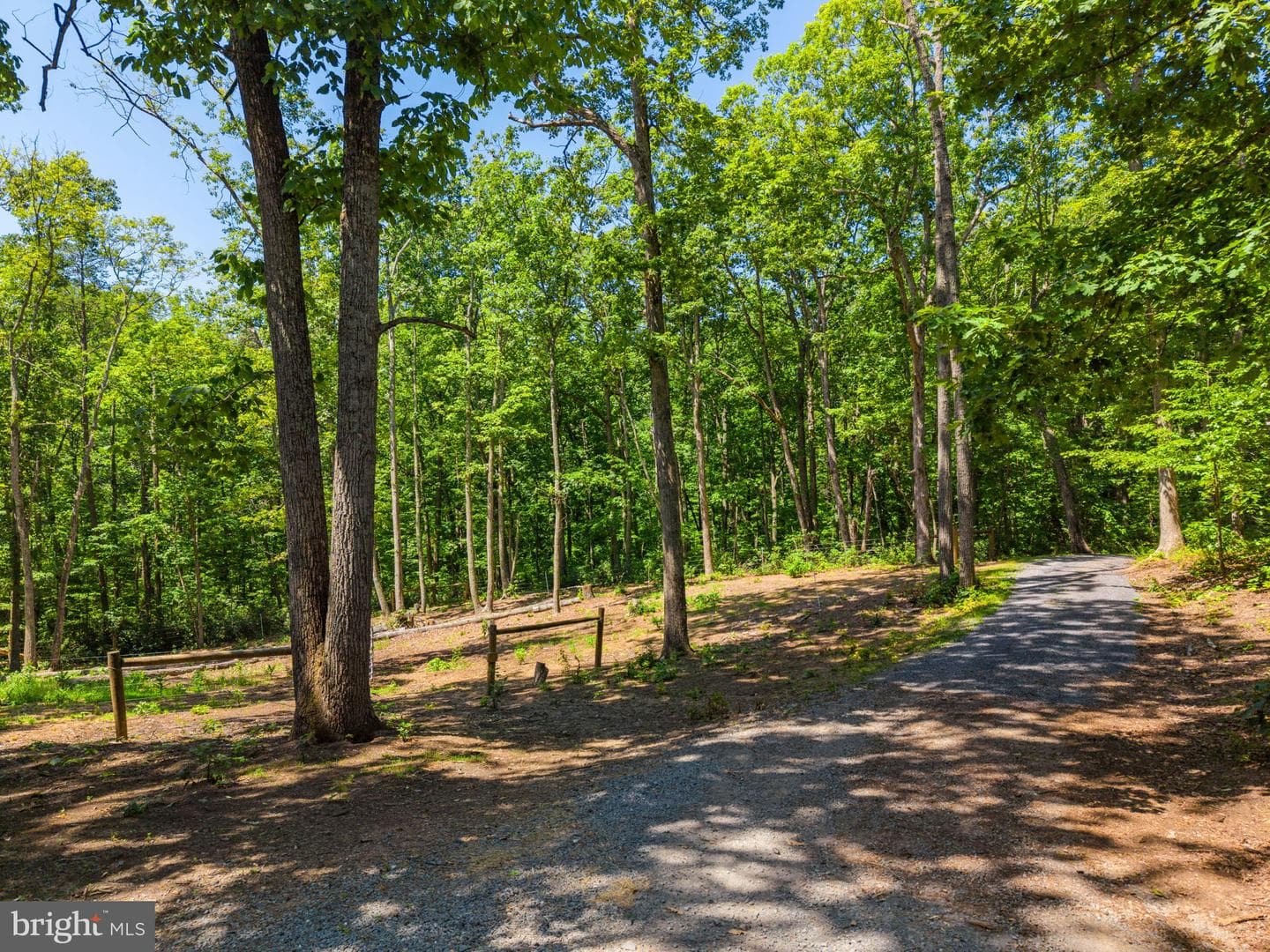 10275 Mountain Run Lake Road photo 6
