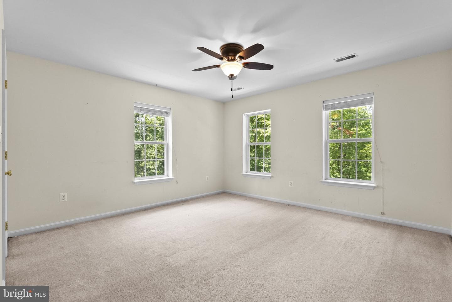 10275 Mountain Run Lake Road photo 61