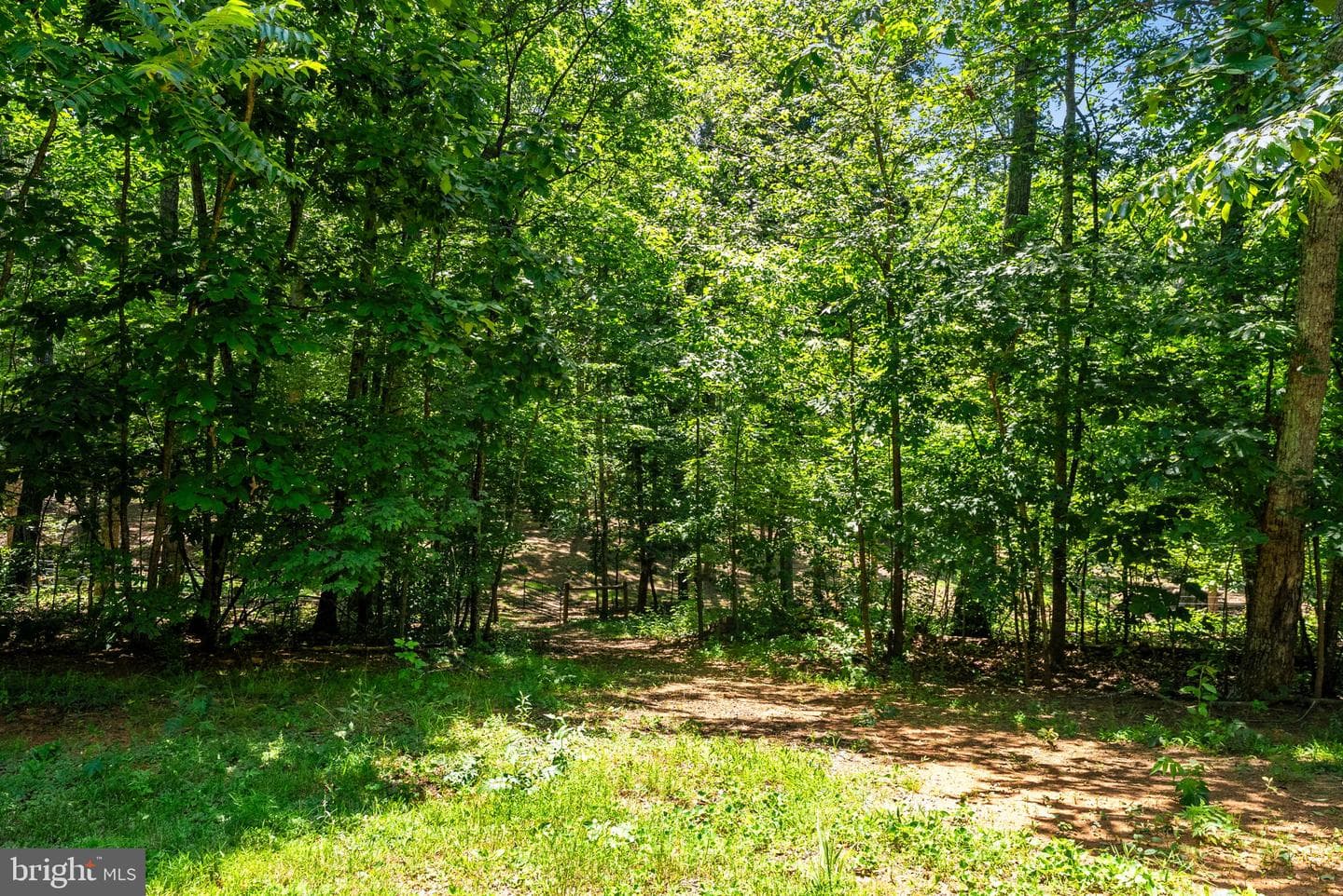 10275 Mountain Run Lake Road photo 80