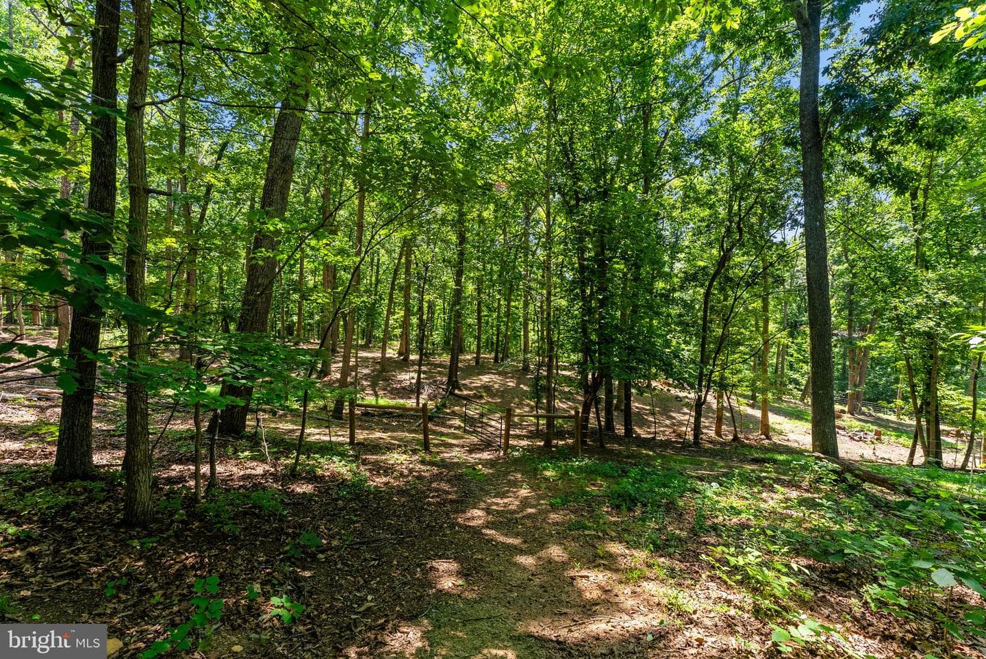10275 Mountain Run Lake Road photo 81