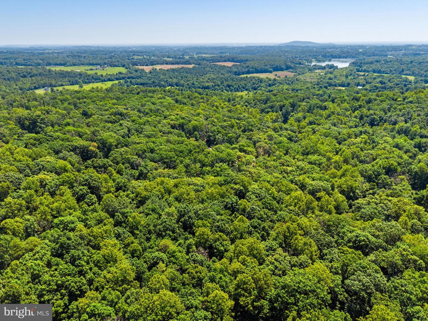 10275 Mountain Run Lake Road photo 89