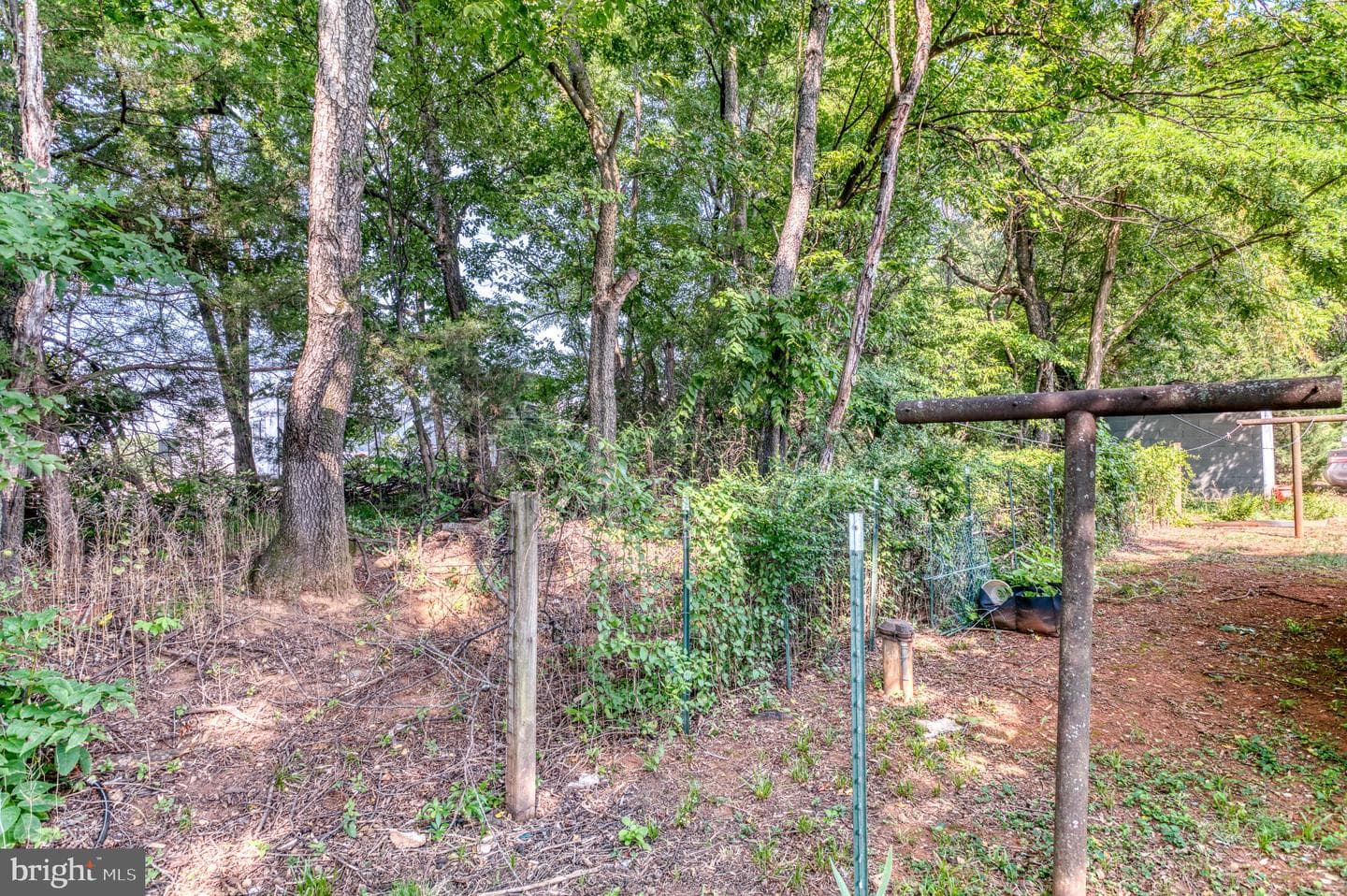 15458 Braggs Corner Road photo 26