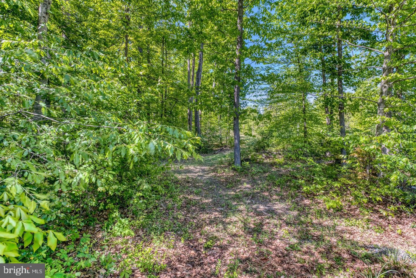 8427 Tall Oak Drive photo 47