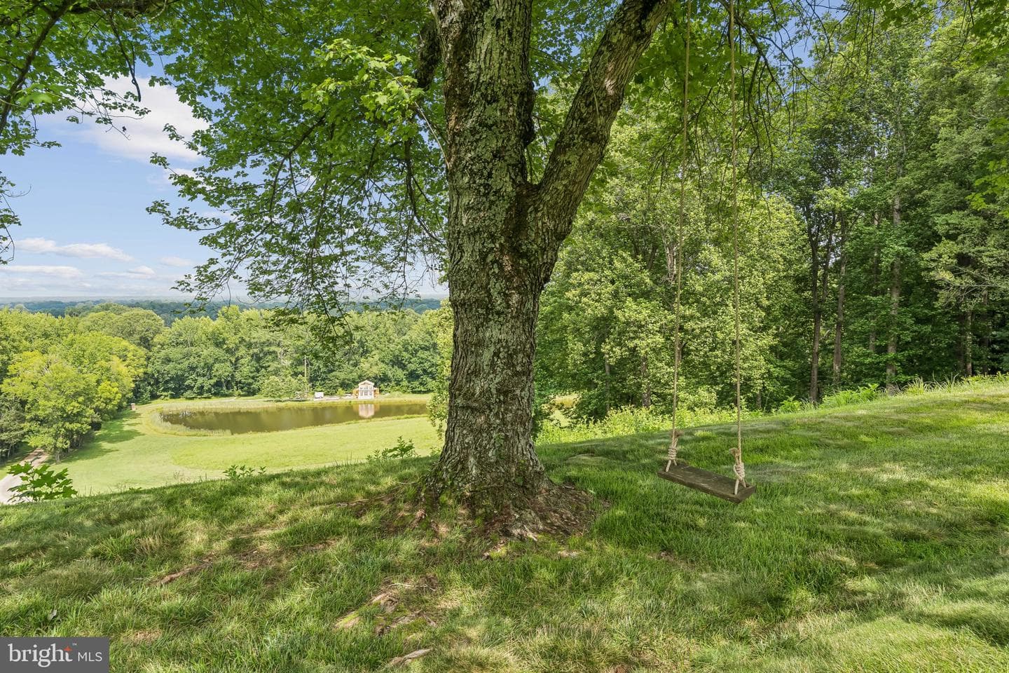 23348 Tidewater Trail photo 101