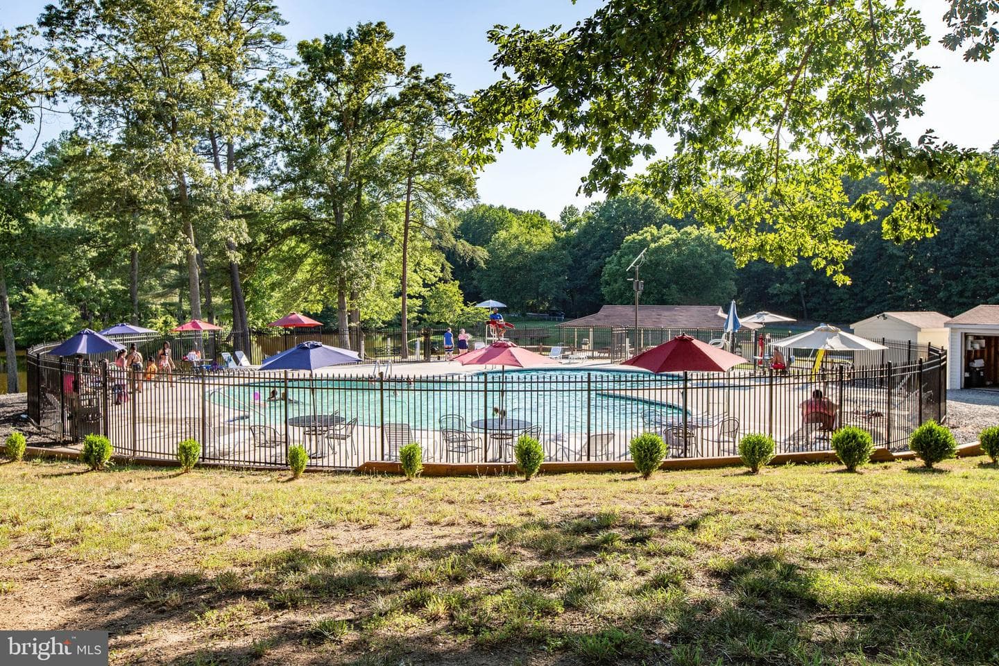 228 Cedar Ridge Drive photo 73