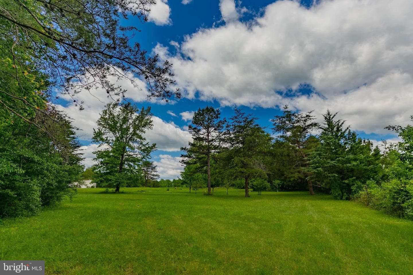 19083 Country Road photo 2