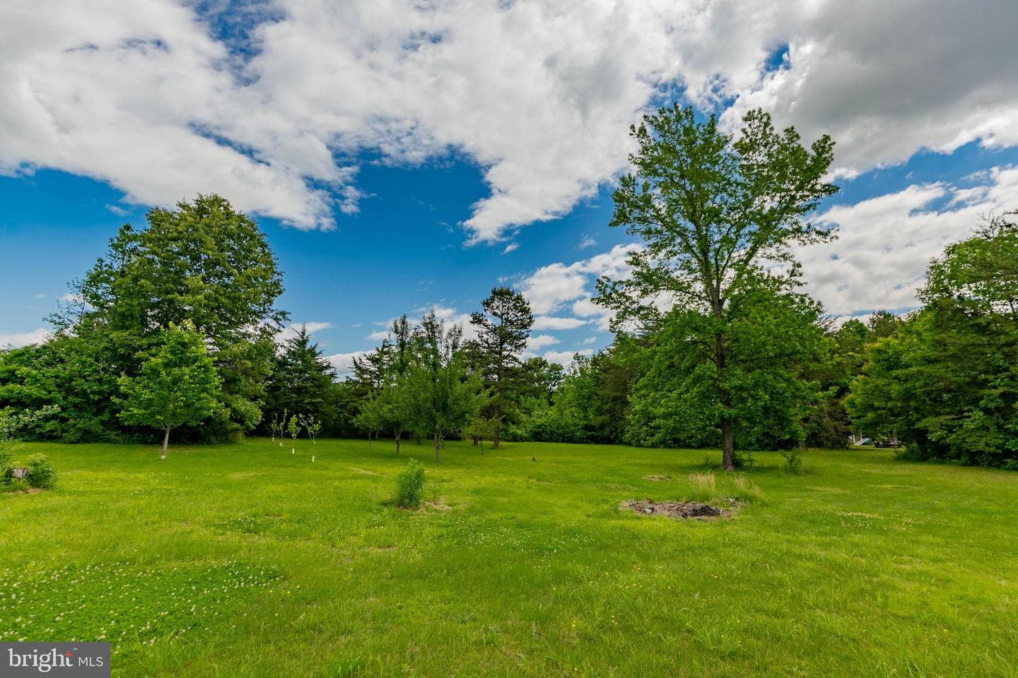 19083 Country Road photo 54