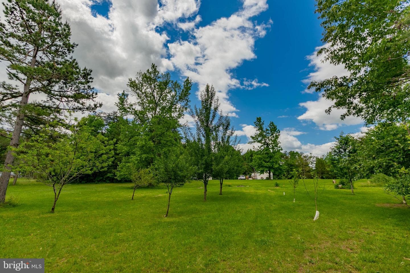 19083 Country Road photo 6