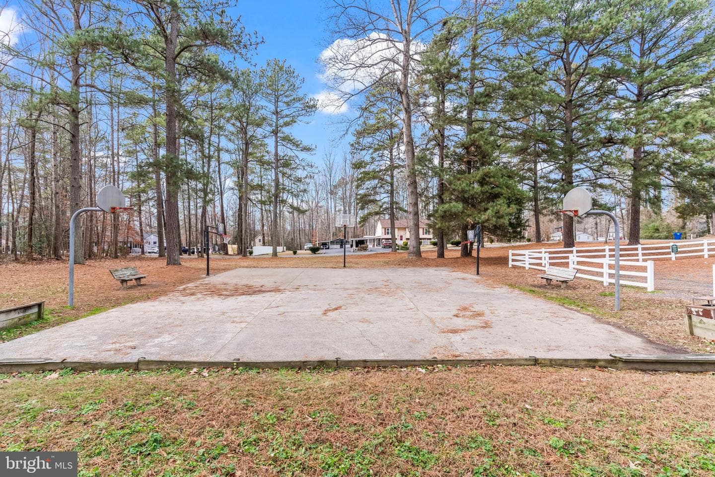 12110 Loblolly Road photo 39