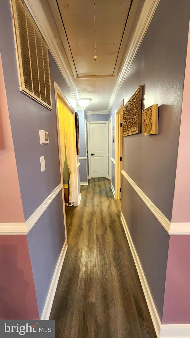 229 Maury Avenue photo 18