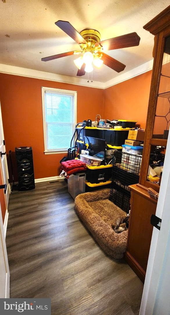 229 Maury Avenue photo 23