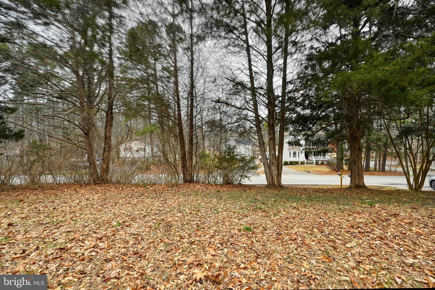 417 Lake Caroline Drive photo 39