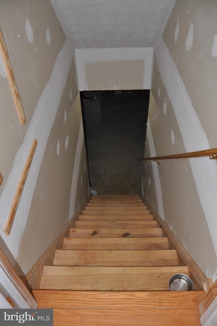10621 Gallant Fox Way photo 56