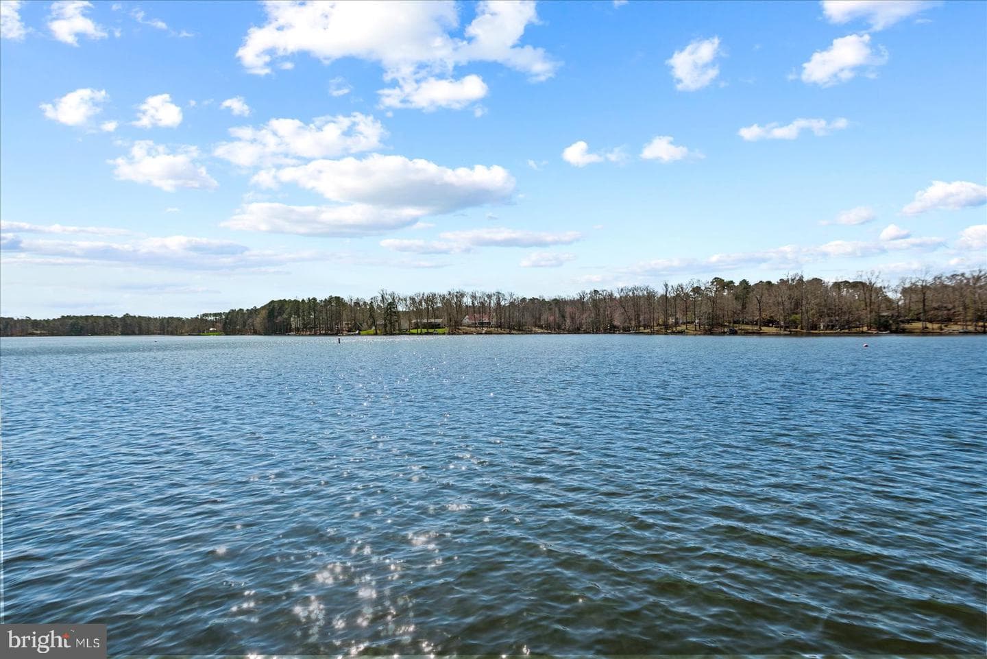 686 Lake Caroline Drive photo 16