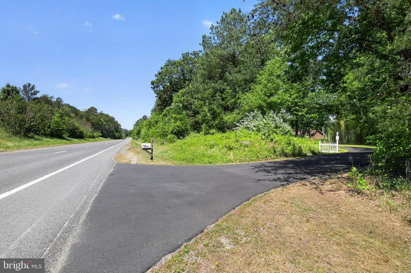 27197 Tidewater Trail photo 5