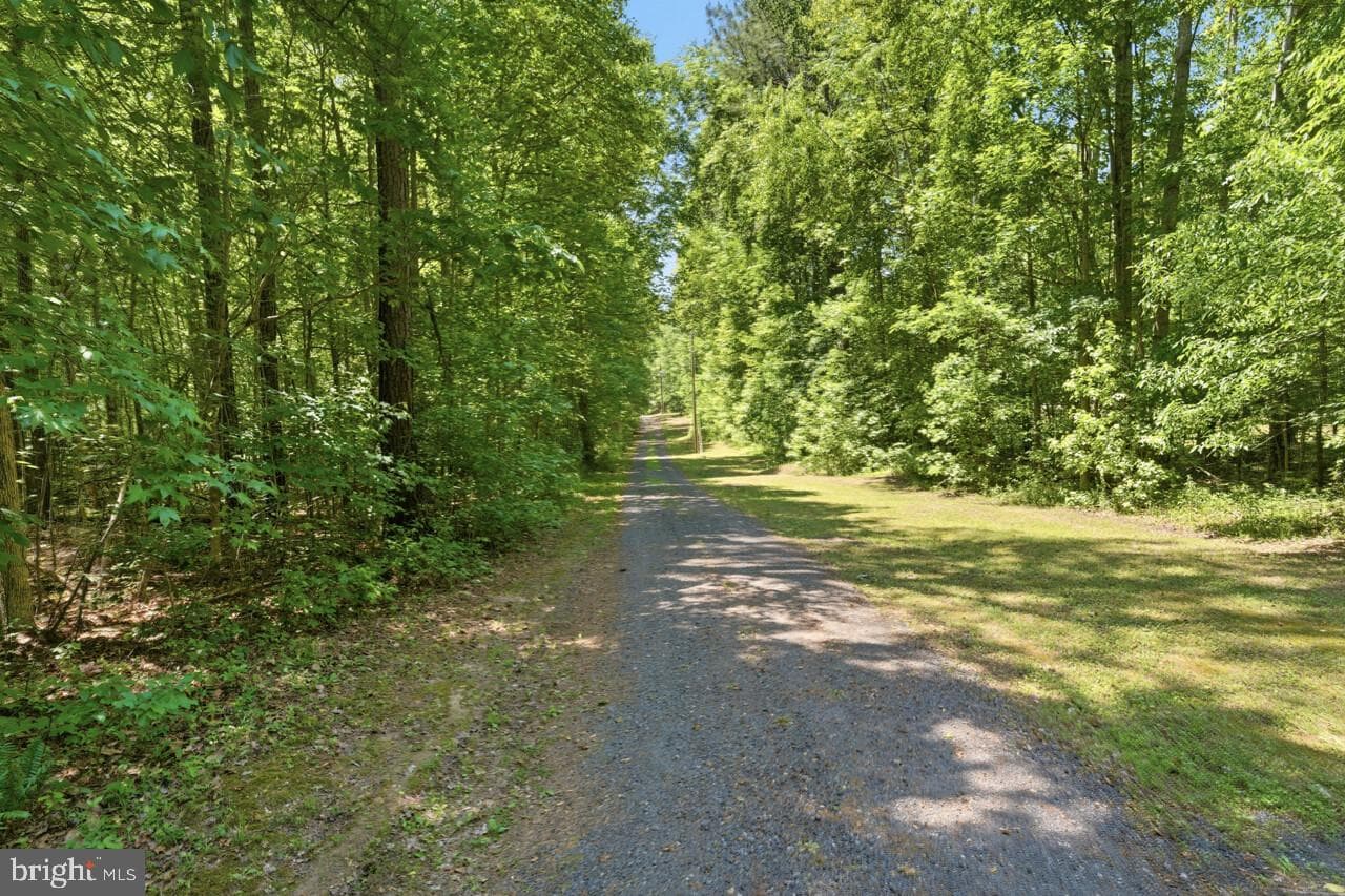 5493 Mudville Road photo 46