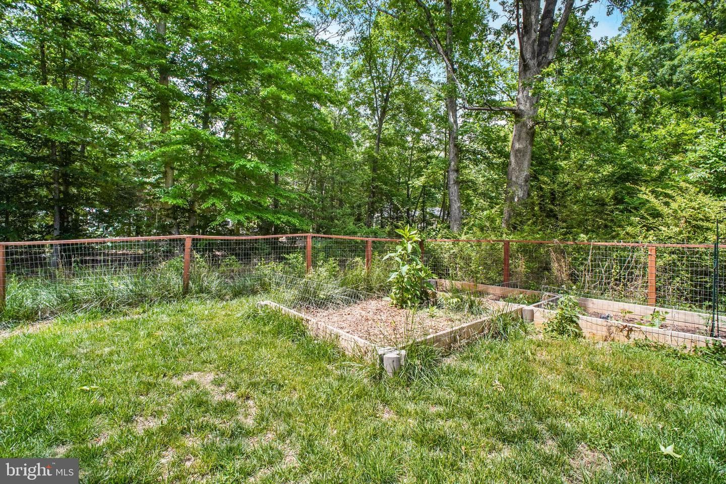 7264 Macedonia Road photo 14
