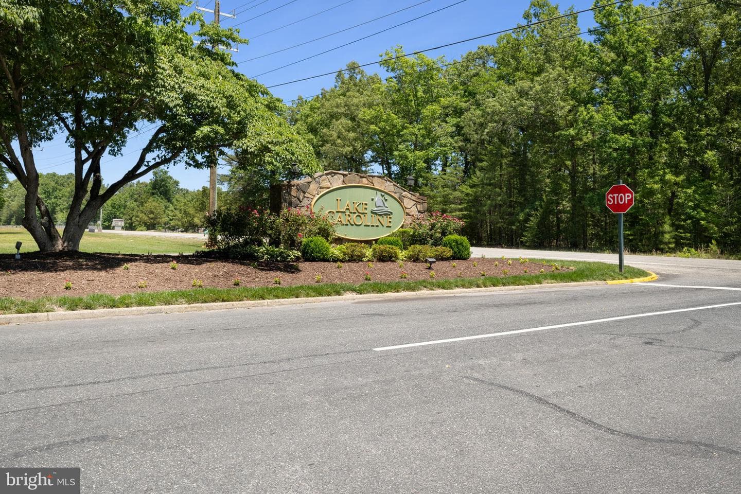 280 Lake Caroline Drive photo 60