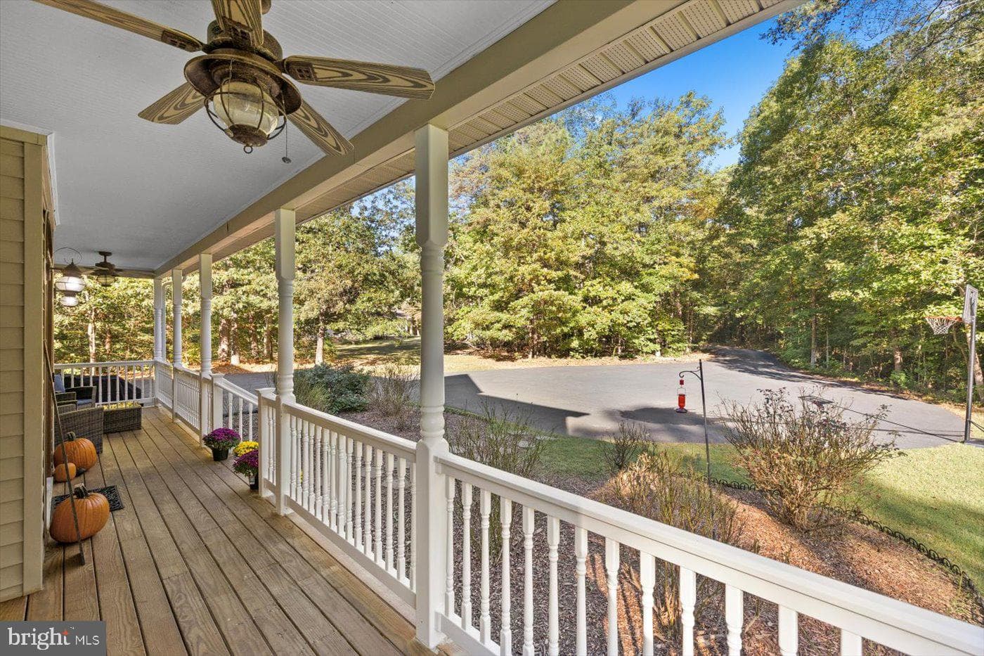 22617 Telegraph Road photo 5