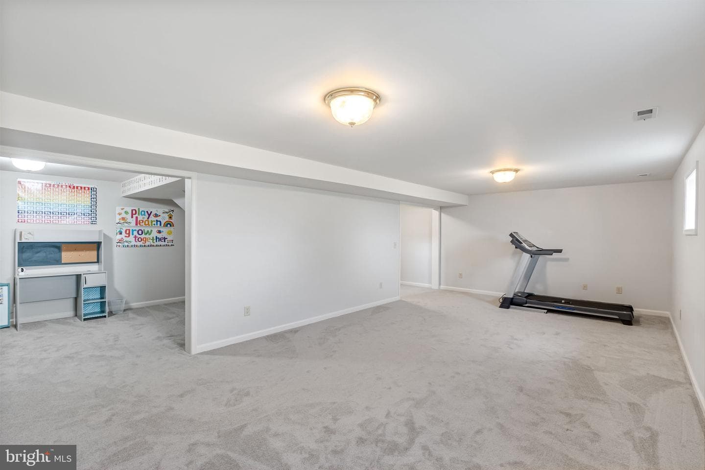 410 Roper Drive photo 52