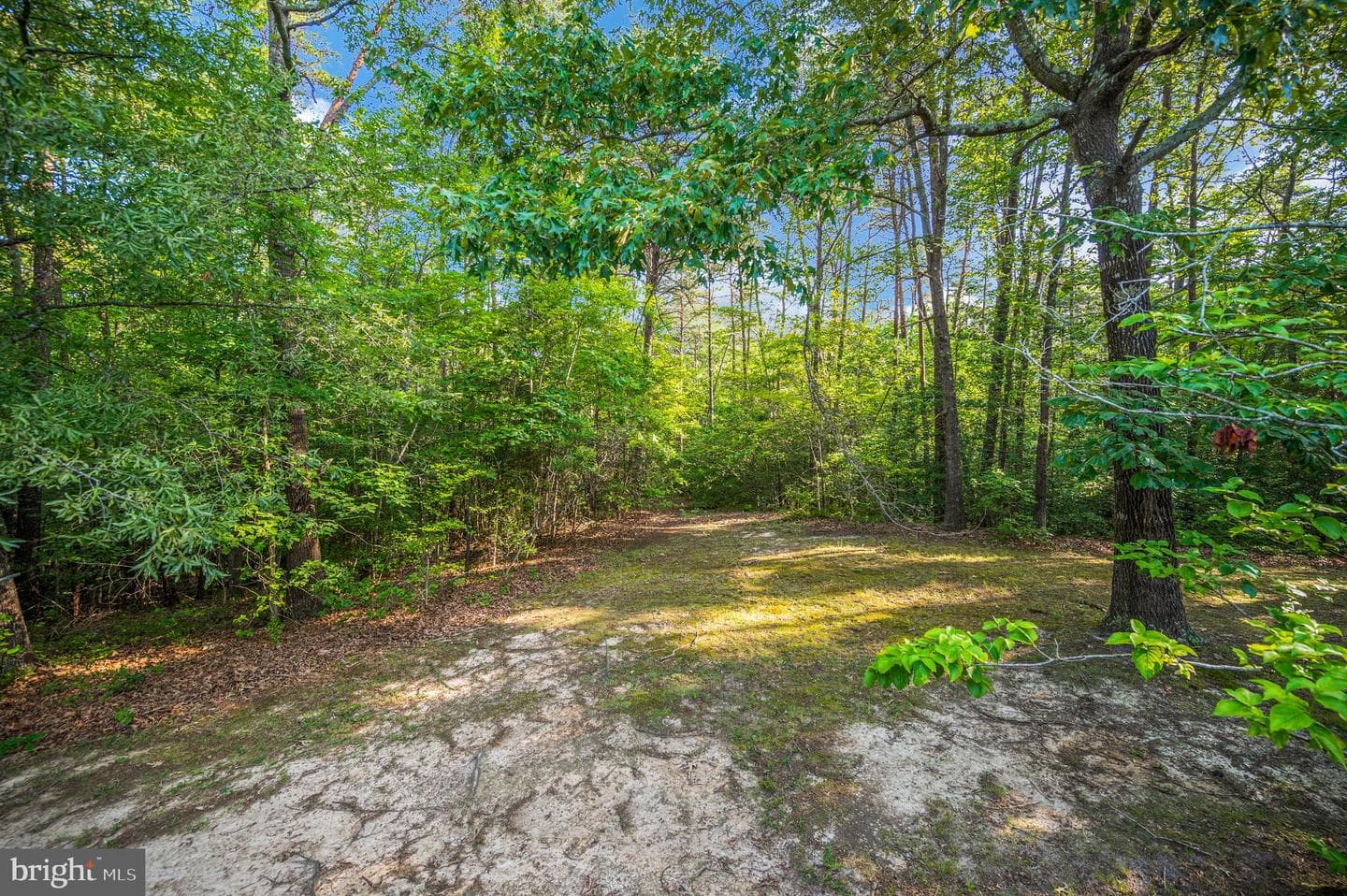 15295 Todd Ln photo 50