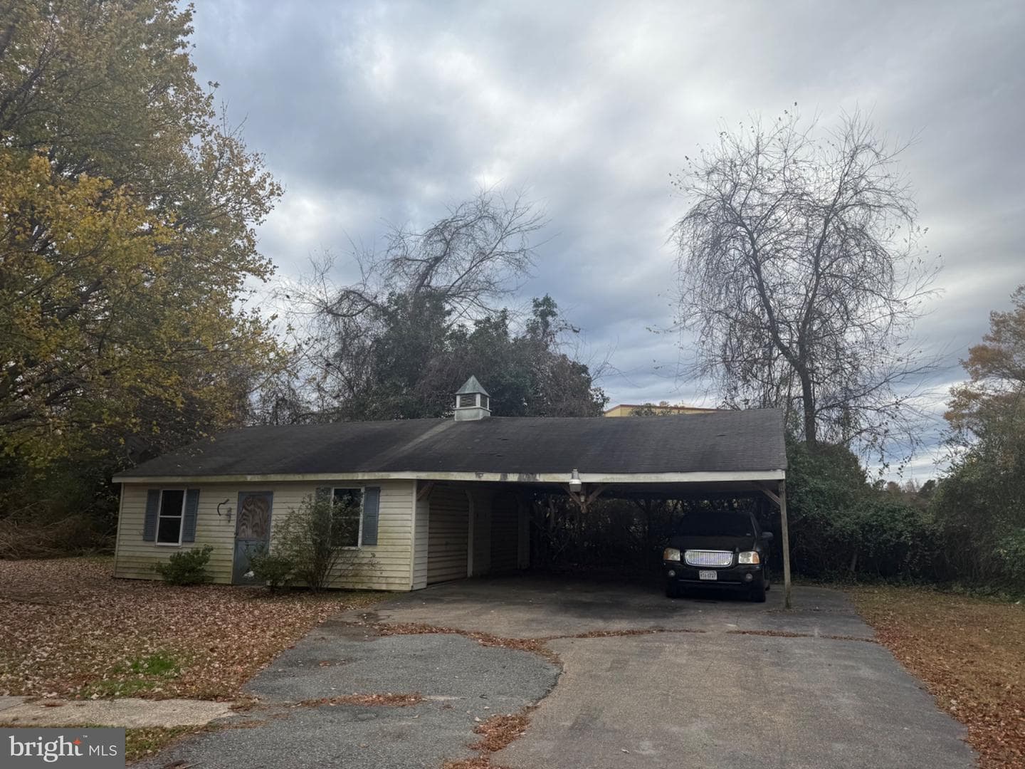 160 Rouzie Drive photo 8