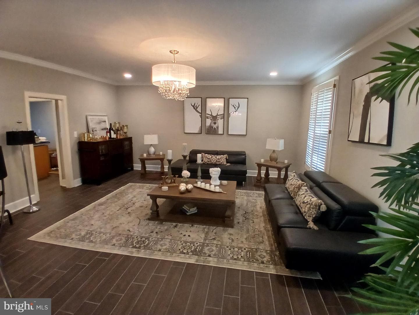 393 Daingerfield Road photo 14