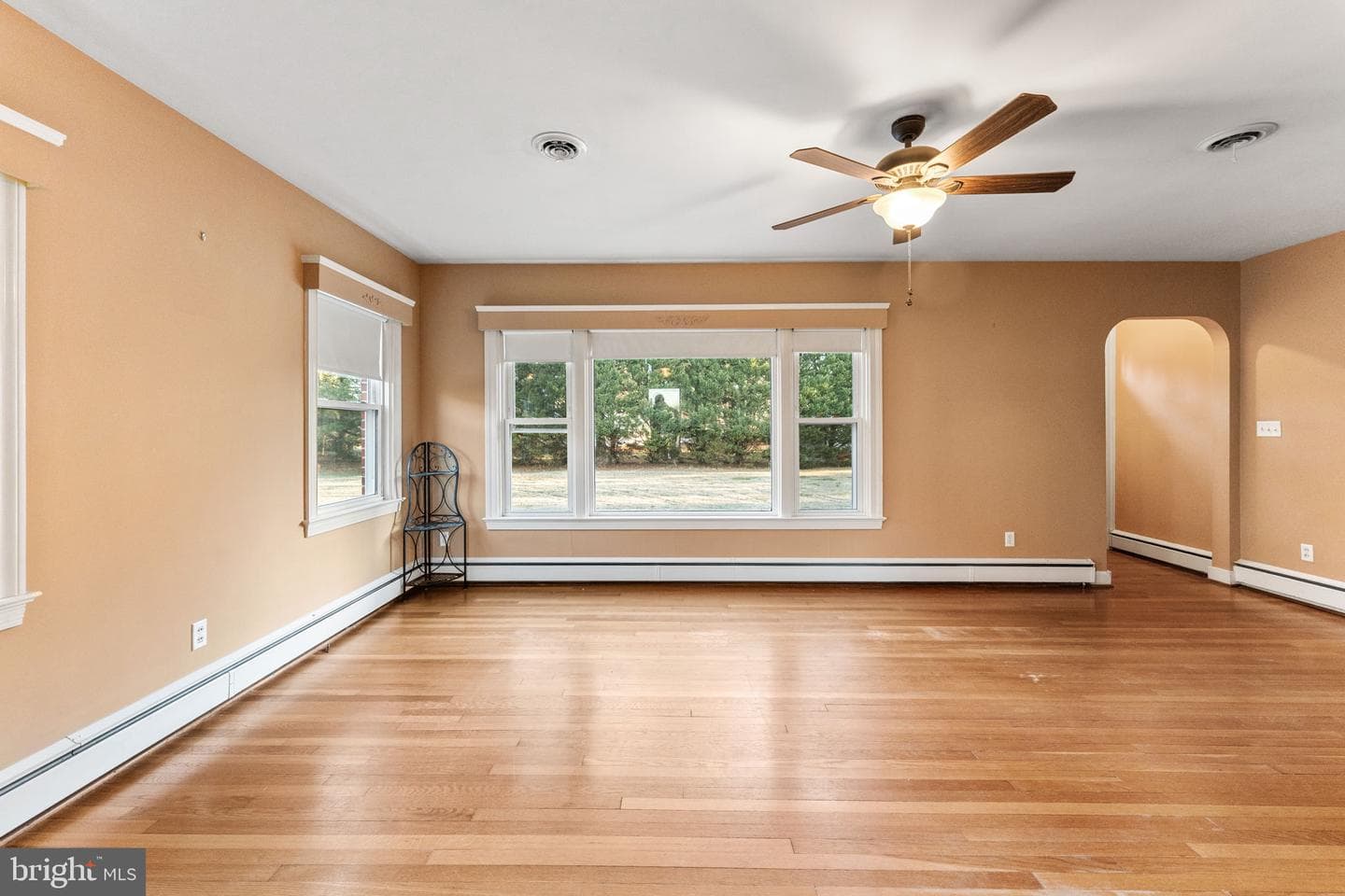 501 Essex Street photo 8