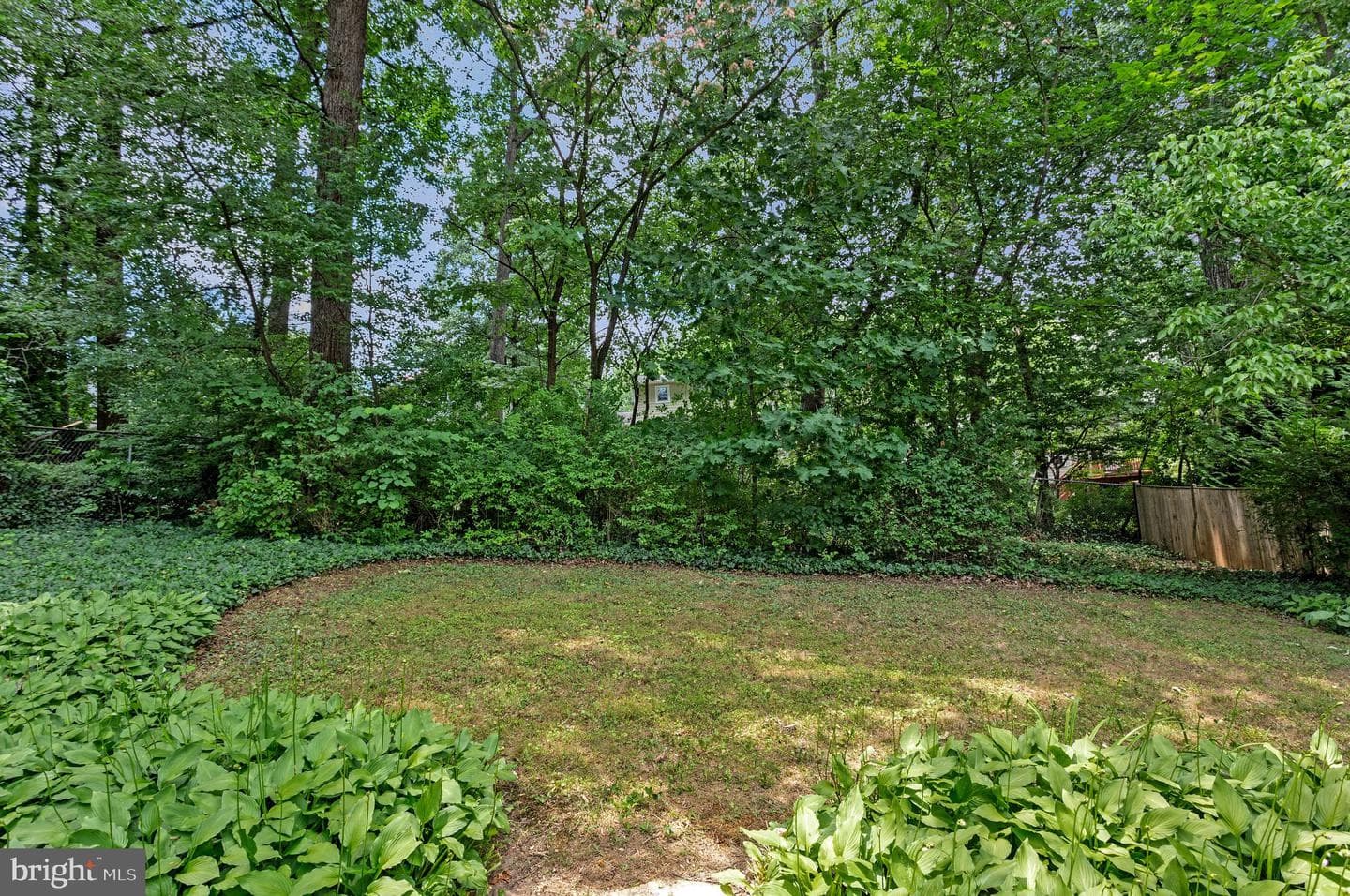415 Poplar Drive photo 24