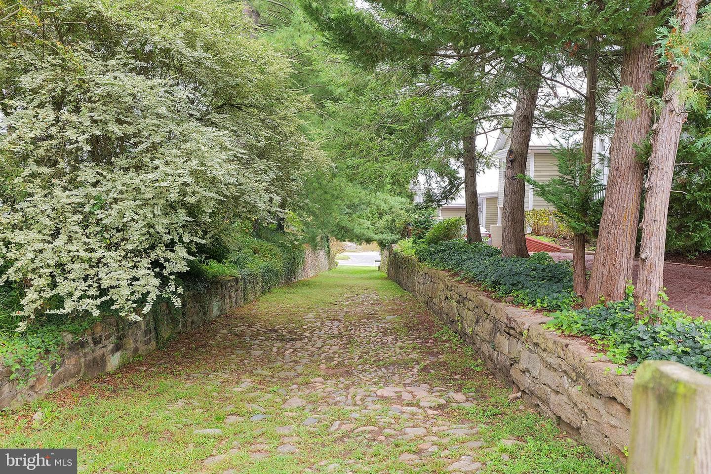138 Caroline Street photo 41