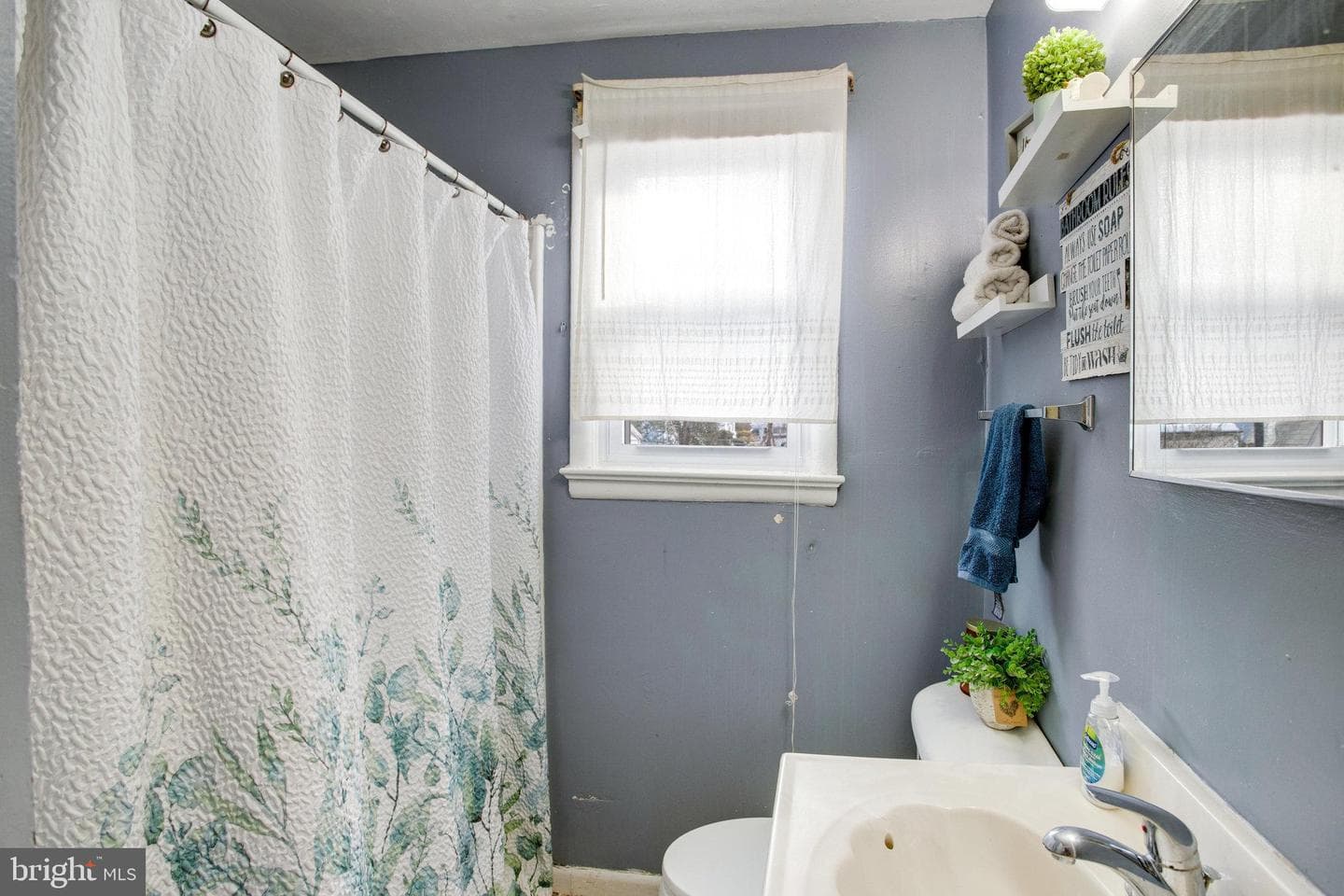 212 Harris Street photo 11