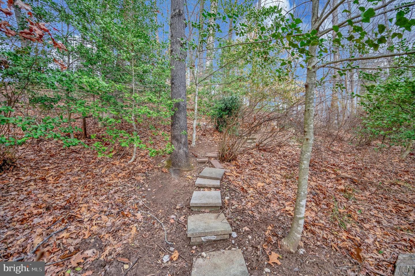 1803 Genther Lane photo 43