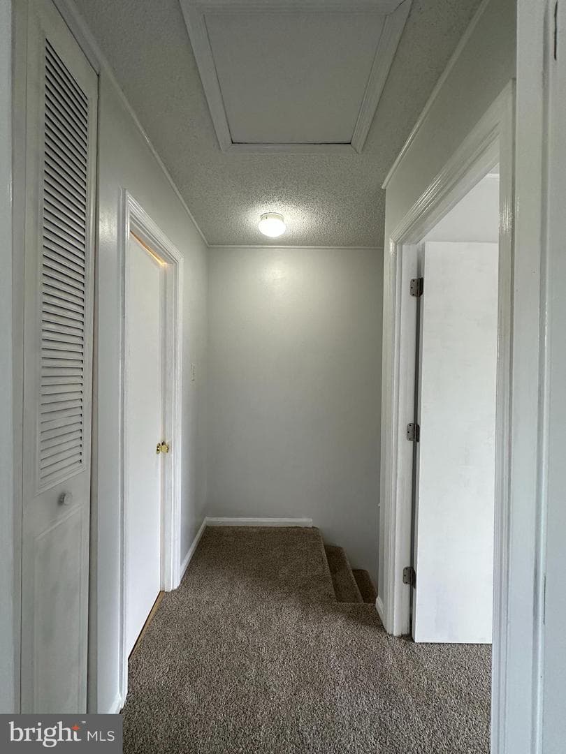 114 Hughey Court photo 4